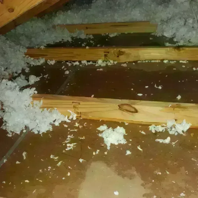 Attic Water Damage in Arlington, VA