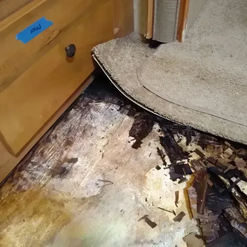 Best Wood Floor Water Damage Service in Arlington, VA